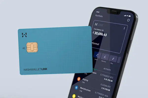 HASHWallet Link Crypto Wallet Card - 2020